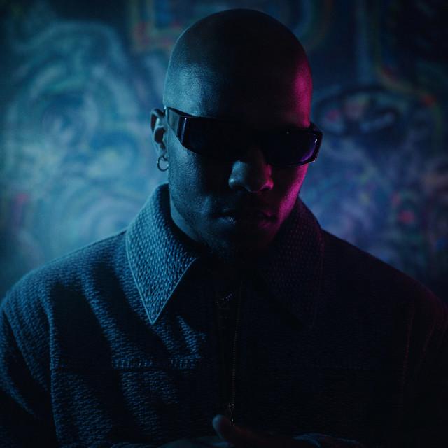 Artistnameleon