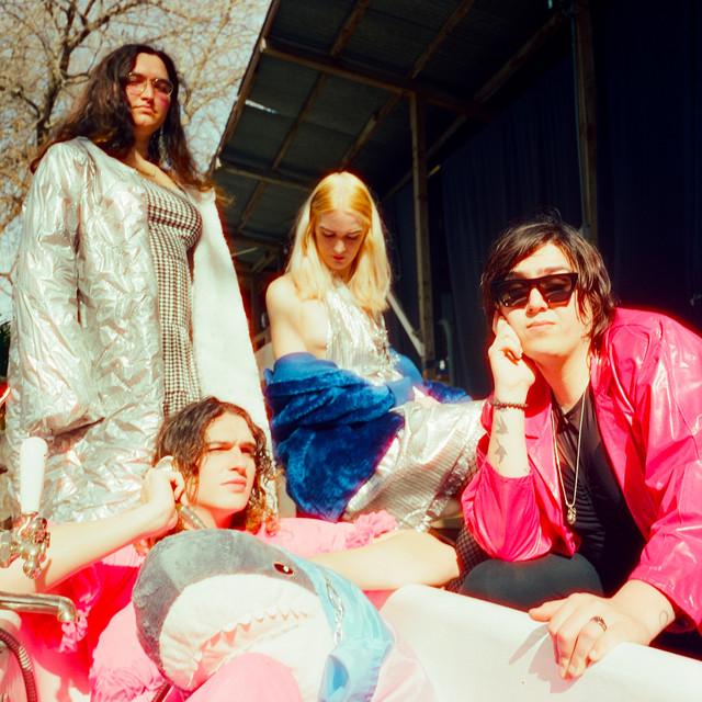 Transy Warhol