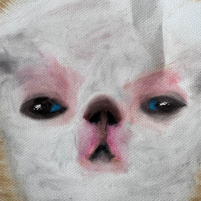 frogurt