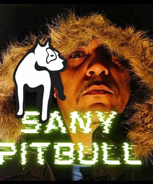 Sany Pitbull