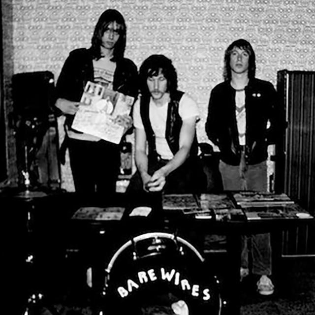 Bare Wires