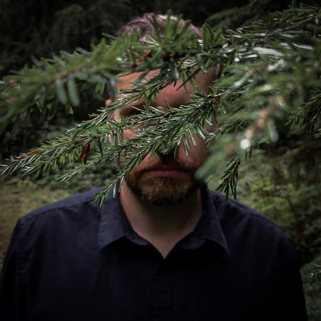 The Phantom Pines