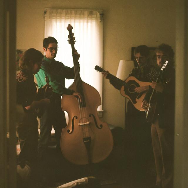 The Local Group