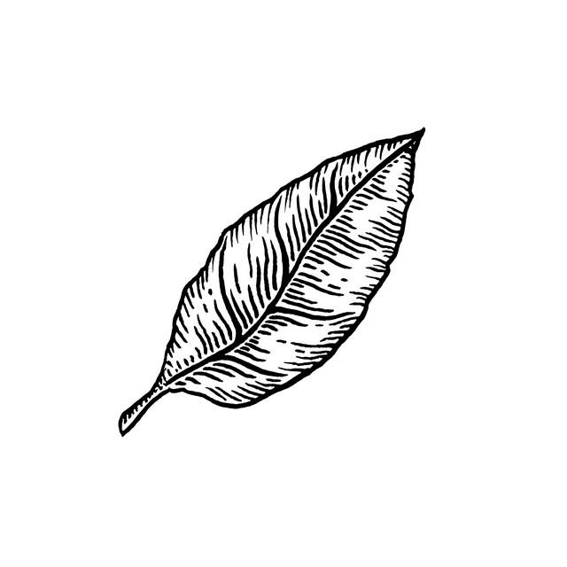 Moura