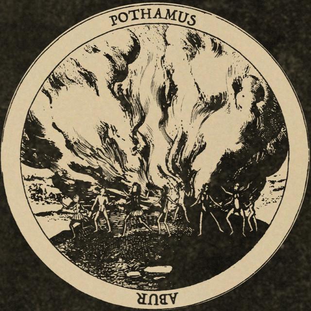 Pothamus