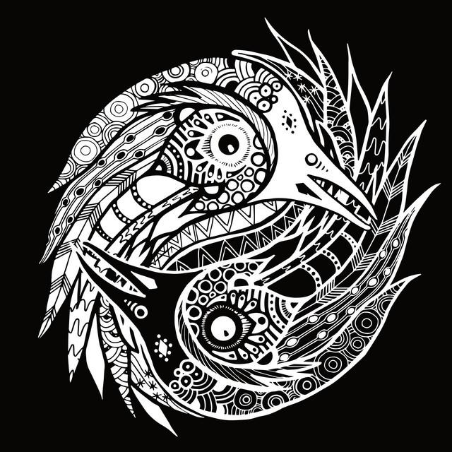 The Black Feathers
