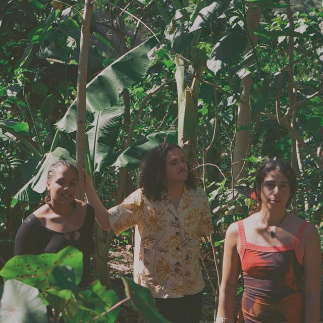 The Oogars