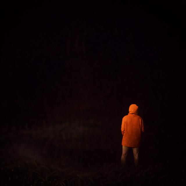 VANISHING GIRL