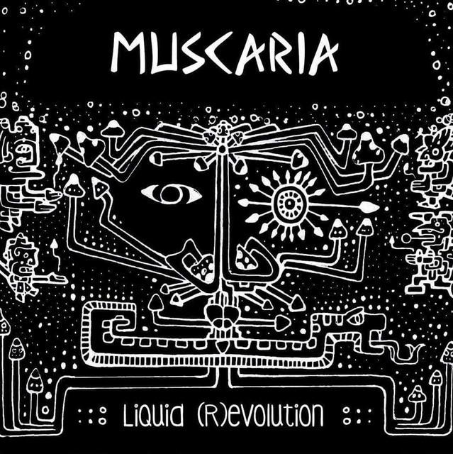 Muscaria