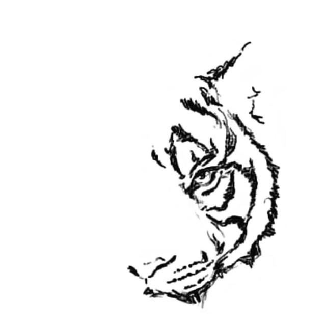 The Tiger & Me