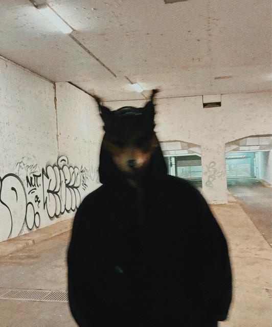 FoxTune