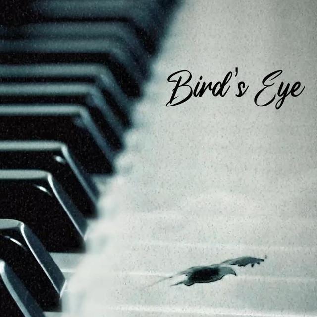 Bird's Eye