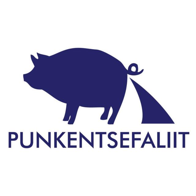 Punkentsefaliit