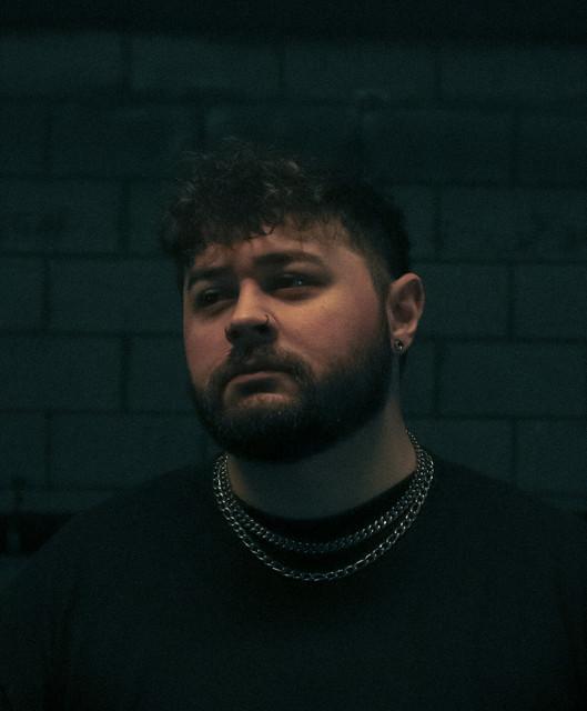 Blvk Sheep