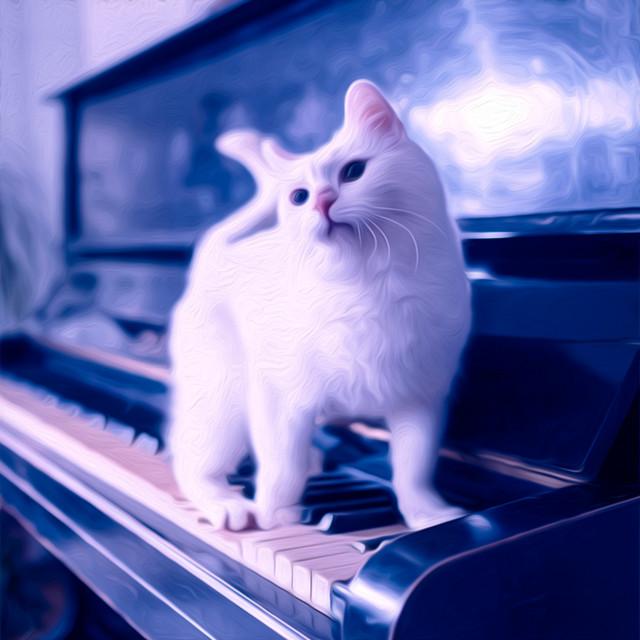 Peaceful Noise
