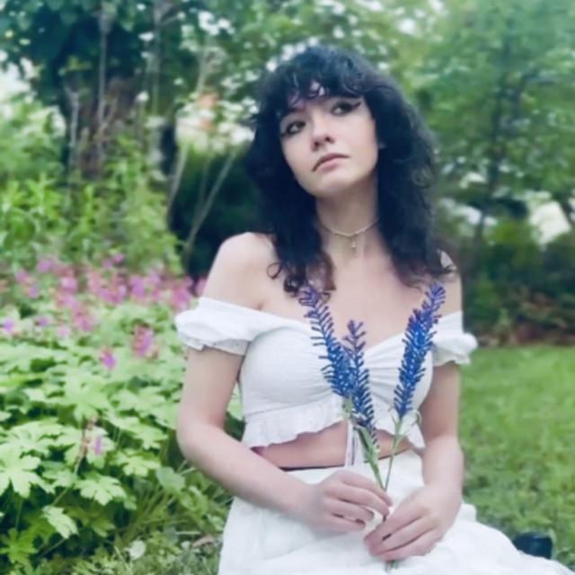 violet's garden