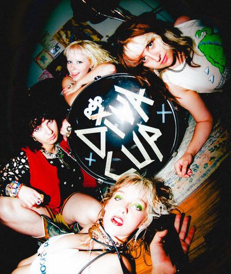Diva Cup