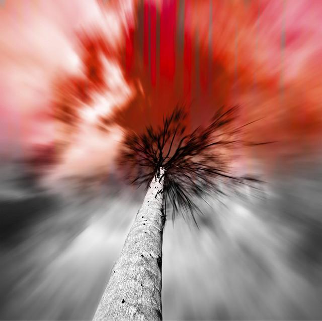 Apoptose