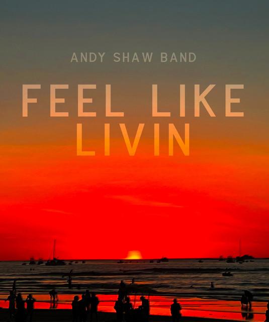 Andy Shaw Band