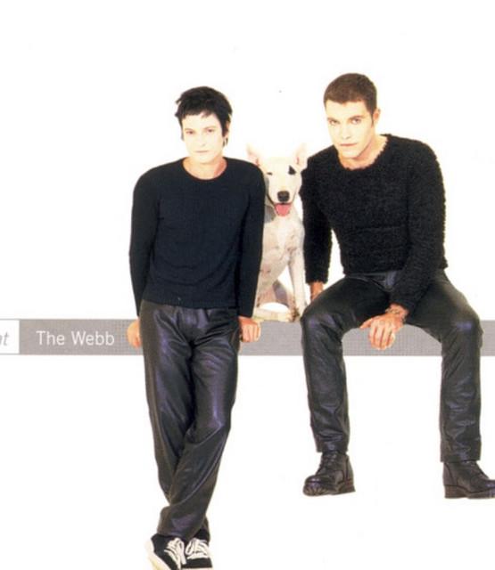 The Webb