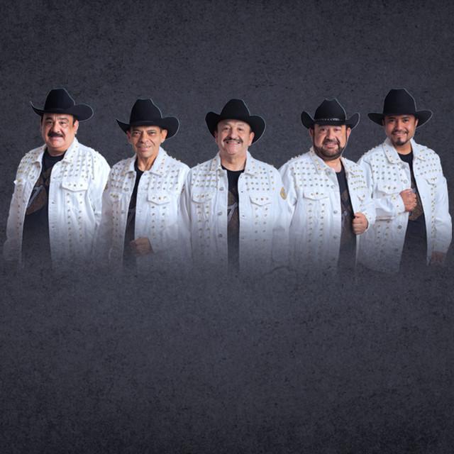Los Tigrillos