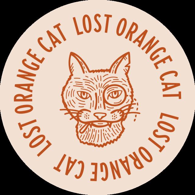 Lost Orange Cat