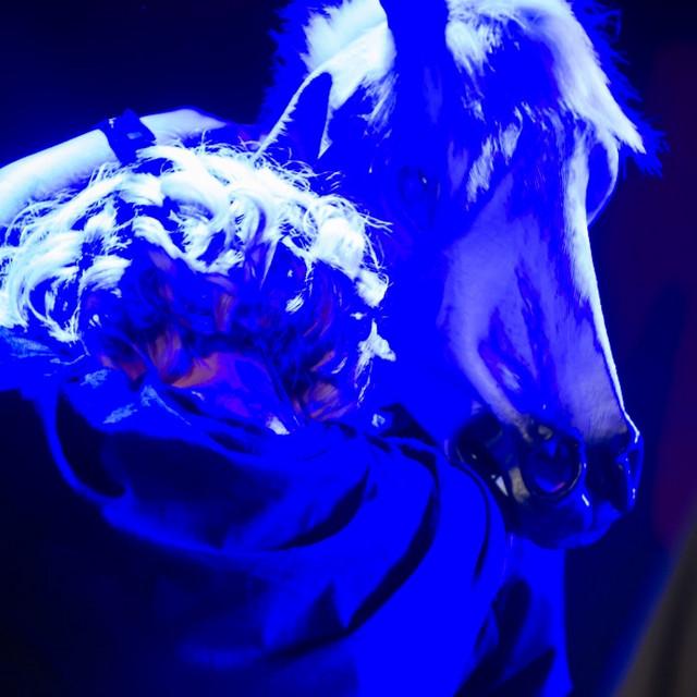 Josy & The Pony