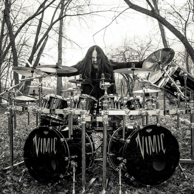 VIMIC