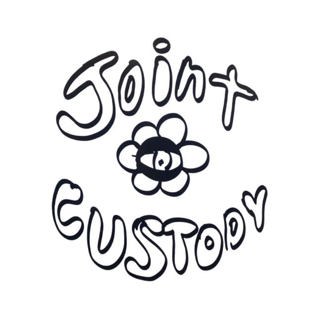 Joint Custody
