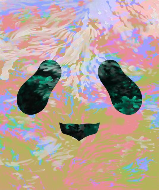 Panda Grass
