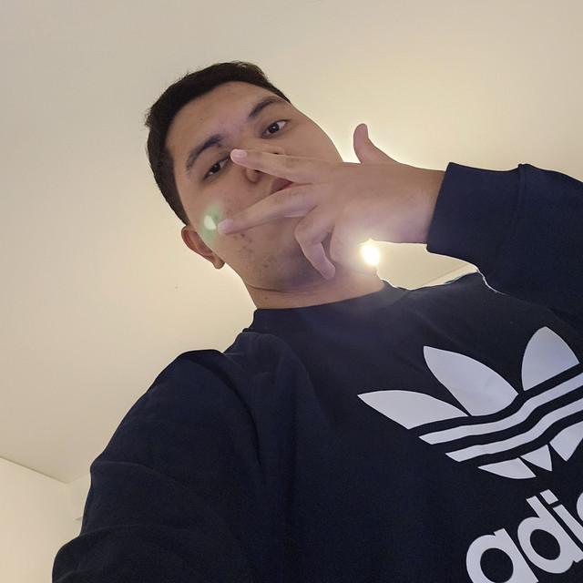 Erdin