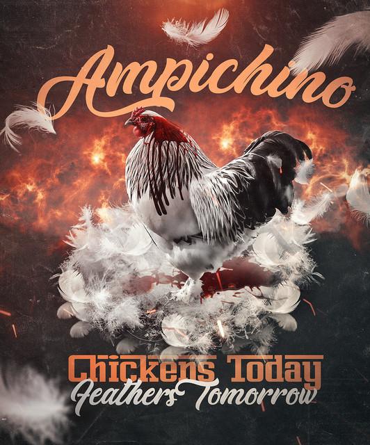 Ampichino