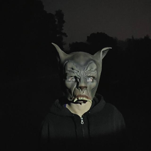 Half Wolf