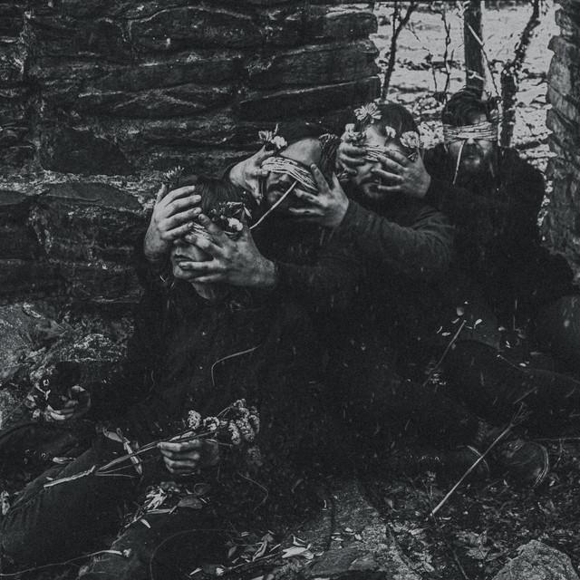 Of the Vine