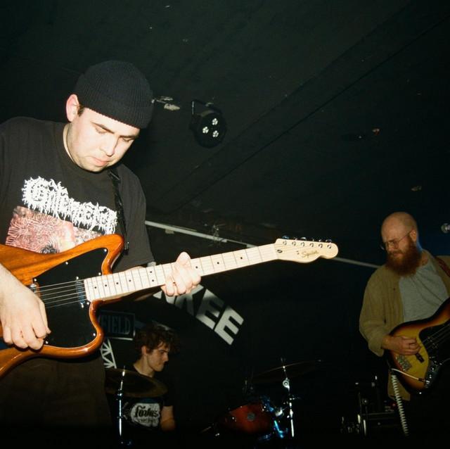 King Orange