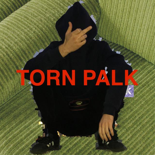 Torn Palk