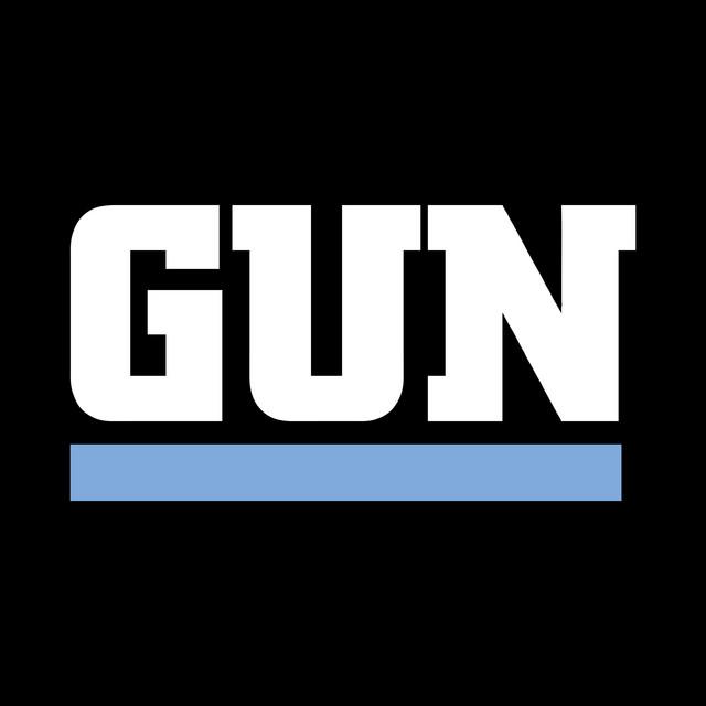 Gun