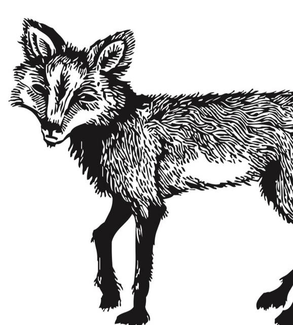 The Foxery