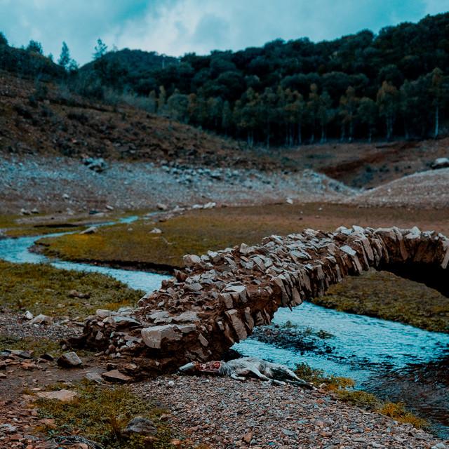 Quercia