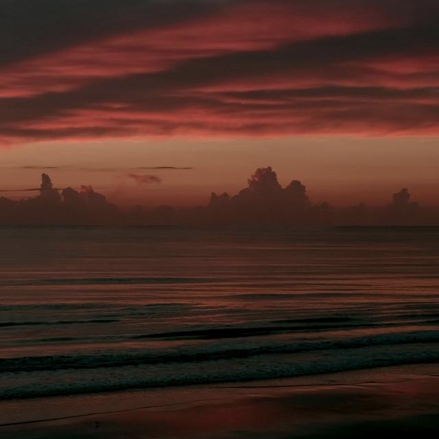 Everglades