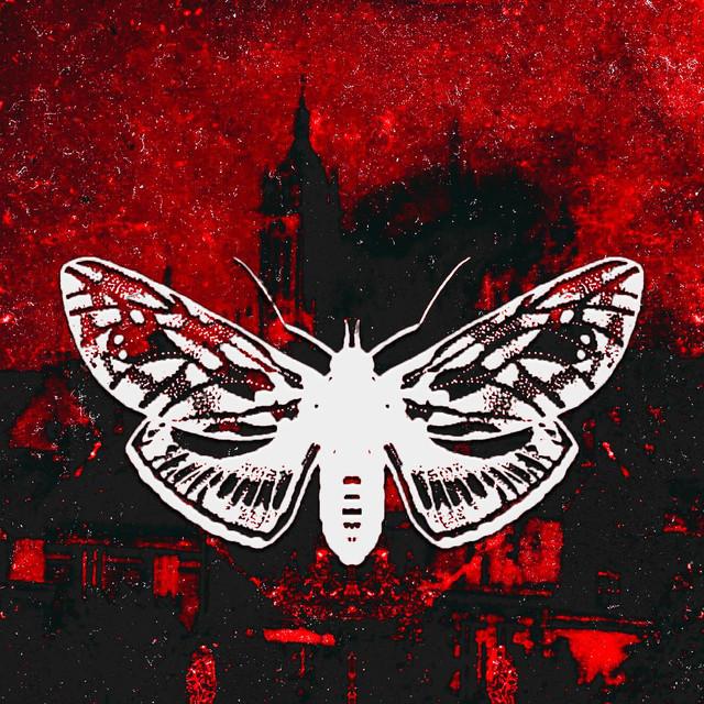 Moth