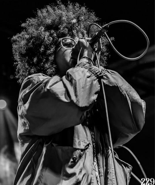 Adrienne Mack-Davis