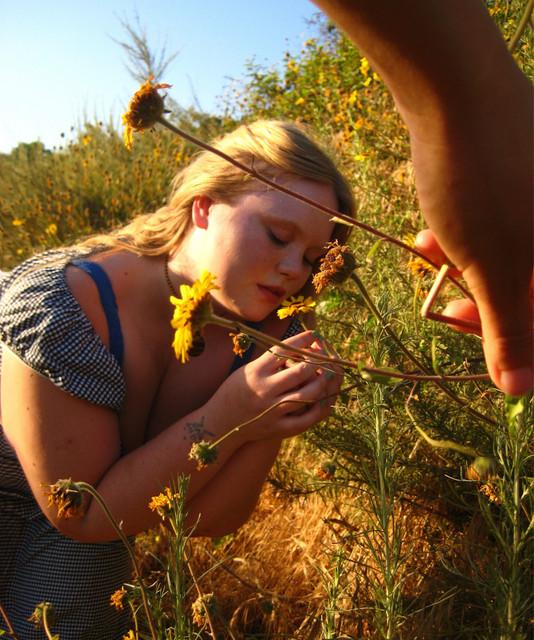 juliet sunflower