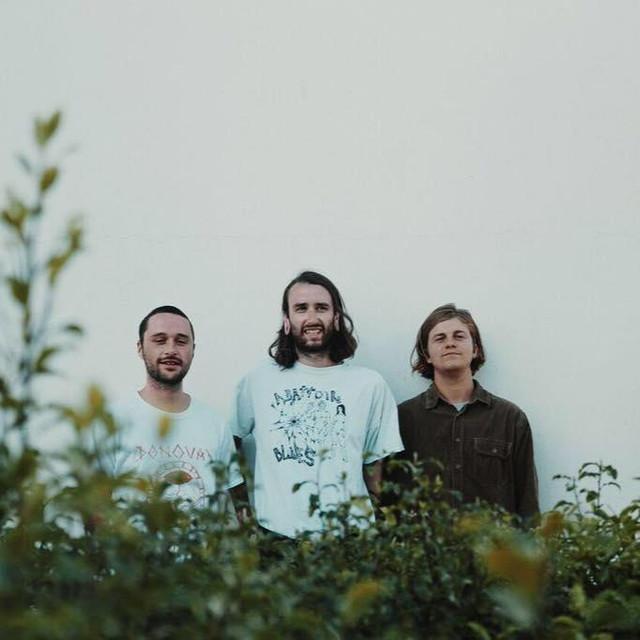Birdskulls