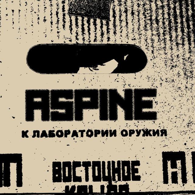 Aspine