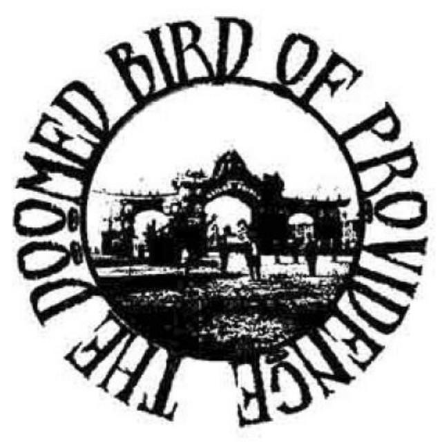 The Doomed Bird of Providence