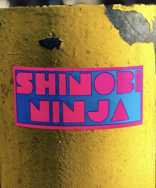 Shinobi Ninja