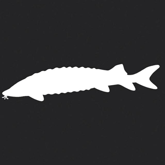 The Sturgeons