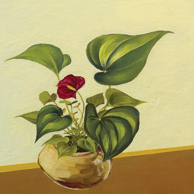 Bob Oxblood