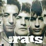 Les Rats